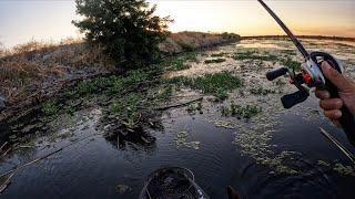 Summer Bass Fishing on the California Delta (2024 edition)