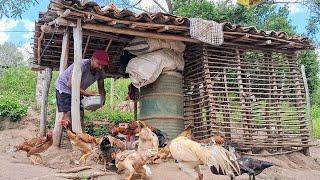 A vida simples em meio as aves num remoto lugar do Brasil  na América do sul lugar tranquilo