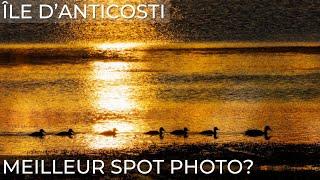 Un JOYAU pour PASSIONNÉS PHOTO à DÉCOUVRIR!