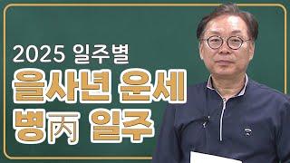 일주별 을사년 운세 - 병일주(병자/병술/병신/병오/병진/병인)