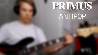 Primus - The Antipop [Bass Cover]