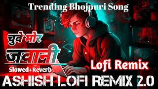 jaise chuye mahua raja chuye mor jawani / trending bhojpuri song / lo_fi remix / slowed and reverb /