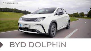 Reisacher Fahrzeugvorstellung: BYD Dolphin