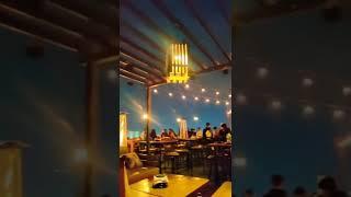 must visit this rooftop restaurant 