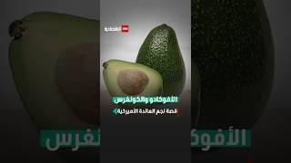 الأفوكادو والكونغرس.. قصة نجم المائدة الأميركية