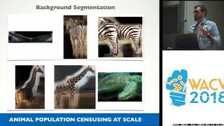 WACV18: An Animal Detection Pipeline for Identification