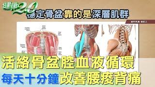 活化骨盆腔改善腰痠背痛 用科學的方法有效鍛鍊 健康2.0