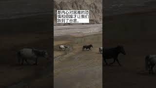 你能走出“野马效应”吗？#正能量 #情感 #shorts