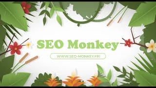 Agence SEO Monkey - Référencement Naturel Transparent & Efficace 