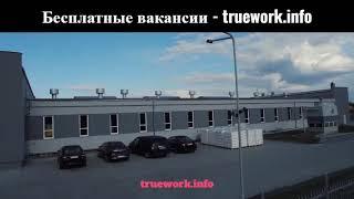 Робота в Польщі. Для українців без досвіду на ELEKTRO PLAST