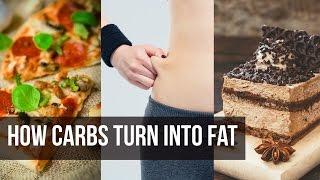 How Carbs Turn to Fat: Weight Loss Secret- Thomas DeLauer