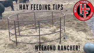 Feeding Hay to Cattle - couple of tips to help out.