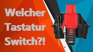 Welcher Tastatur SWITCH?! Mechanische Schalter erklärt.