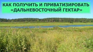 Как получить и приватизировать «Дальневосточный гектар»? Право знать 16.08.22