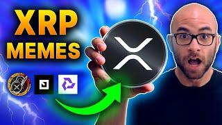 "XRP Meme Coins & XRPL Crypto Ecosystem Starting Guide: Potential Huge Opportunity?