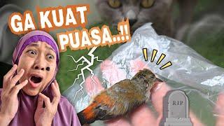 Kunyit Can't Fast!!! Picture Story in the Hospital  Asti Kunyit - Bunda Aqilla Eps 408