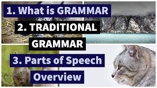 Grammar | Traditional Grammar | Short Overview of Parts of Speech | Lecture 42 | CH#7 | Linguistics