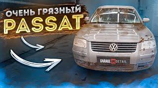 ПЛЕСЕНЬ В САЛОНЕ! ОЧЕНЬ ГРЯЗНЫЙ PASSAT#ОТМЫЛИ