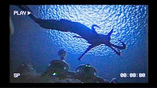 The Leviathan Incident - (Subnautica VHS)