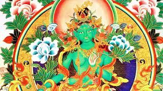 The Gyalwang Drukpa Chanting Green Tara Mantra   Om Tare Tuttare Ture Soha