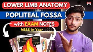 Lower Limb Anatomy- Popliteal Fossa | MBBS 1st Year | Full Explanation With Exam Notes | MBBS World