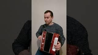 Французская мелодия #гармонь #гармошка#akordeon #folkmusic #frenchmusic #beautifulmusic