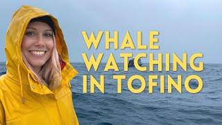 Tofino Whale Watching: The Ultimate Wildlife Experience!