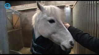 Zwerven Door De Regio | Zorgboerderij De Woudse Hoeve (11 januari 2017)