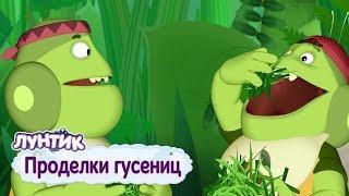 Проделки гусениц  Лунтик  Сборник мультфильмов 2018