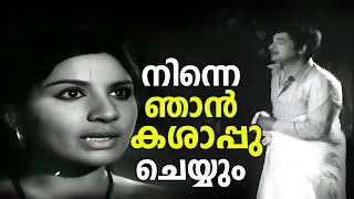 നിന്നെ ഞാന്‍ കശാപ്പുചെയ്യാം | Bhoomidevi Pushpiniyayi | Naseer | Jayabharathi | Movie Scenes