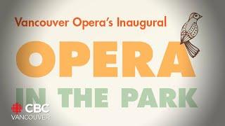 Pop-culture opera in the park