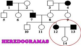 HEREDOGRAMAS - Exercícios e Dicas