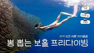 보홀 프리다이빙 나팔링 투어 0부터 제대로 알려드리는 브이로그 l 가격 자격증 체험 포인트