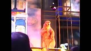 Otter Dancing School Playhouse Disney Live On Stage | Bear In The Big Blue House