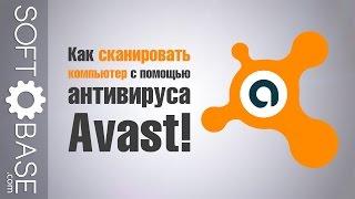 Как сканировать компьютер с помощью антивируса Avast!