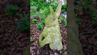 Touring America's LARGEST Japanese Garden Near Atlanta, Georgia
