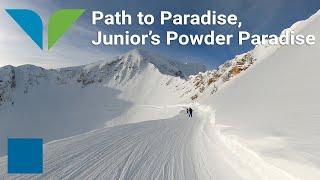 Snowbird - Junior's Powder Paradise (via Path to Paradise)