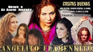 Cositas Buenas FT Angelito Flamenkito & Dj David Jimenez Remix