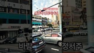 제주도여행 지난여름 제주시 광양사거리 정서주 바람바람아