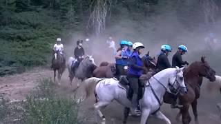 Tevis Cup ride at mile three at Donner Summit 7/5/17