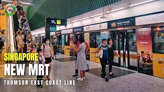 Thomson East Coast Line Stage 4: Exploring Every Station on Singapore's New MRT Line | TEL Stage 4