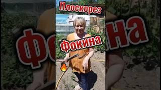 Плоскорез Фокина#shorts#дача#огород#плоскорез#фокина#dacha#vegetable garden#flat_cutter#fokina
