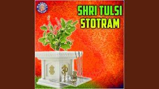 Shri Tulsi Stotram