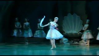 Neva River Variation from Pharaoh's Daughter (Mariinsky Theatre) - Ksenia Fateeva