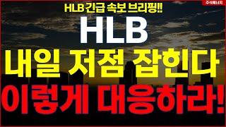 HLB그룹 에이치엘비 "내일 저점 잡힌다" 이렇게 대응하라..!! HLB테라퓨틱스 HLB제약 HLB글로벌 HLB생명과학