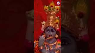 കണികാണും നേരം | Krishna Devotional Songs | Hindu Devotional Video | #shorts #shortvideo #krishna