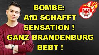 AfD-SENSATION! GANZ Brandenburg BEBT!