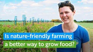 Is farming with nature a better way to grow food? | RSPB Nature Explained