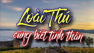 Xin hãy yêu thương muôn loài