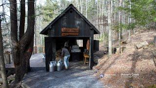 Shaver's Creek Environmental Center Maple Syrup Experience